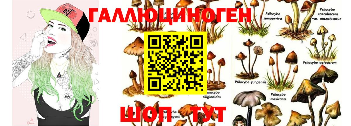 Галлюциногенные грибы Cubensis Зима